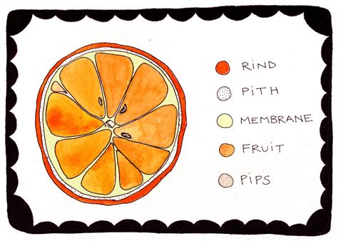 orange diagram      butcher   flickr