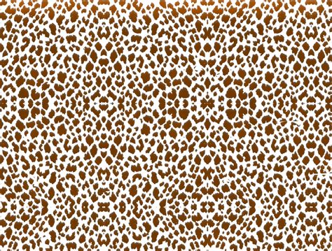 cheetah print pattern  wahab sheikh  dribbble
