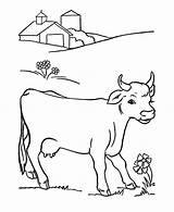 Coloring Pages Cow Flower Cows Dairy Favorite Found Beautiful Netart Milk sketch template
