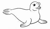 Mewarnai Anjing Laut Binatang Hewan Kartun Aneka Animasi sketch template