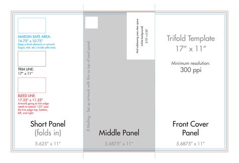 tri fold brochure template