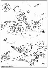 Birds Colouring Spring Coloring Pages Printable Print Bird Activity Seasons Village Cute sketch template