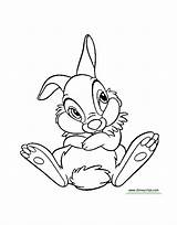 Coloring Thumper Pages Printable sketch template