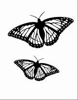 Butterfly Monarch Coloring Line Drawing Pages Getcolorings Drawings Bargain Printable Paintingvalley sketch template