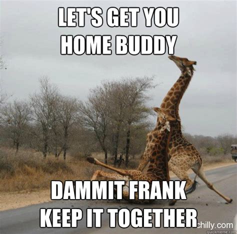 let s get you home buddy dangit frank keep it together giraffe quickmeme