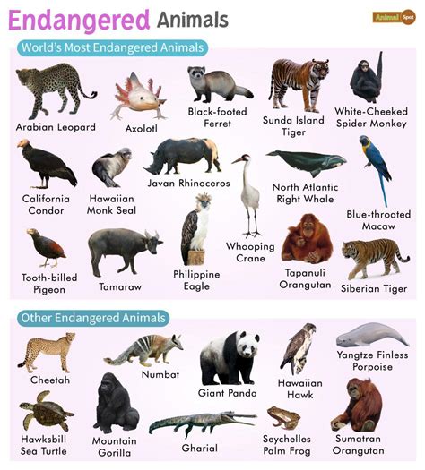 extinct animals images  names