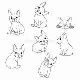 Bulldog Frenchie sketch template