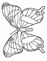 Papillon Leptir Colorat Coloriage Animale Fluturasi Bojanke Colorier Vampiro Mandala Decu Planse Voturi Vizite Plansa Kupu sketch template