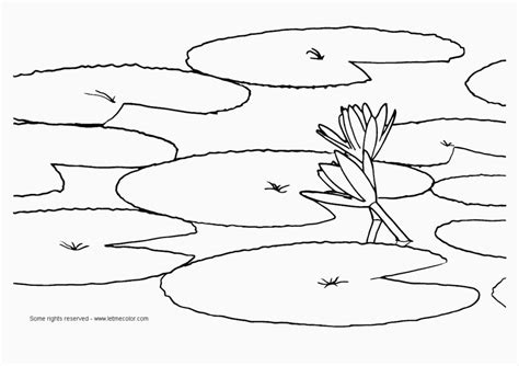 coloring pages  water   coloring pages  water png