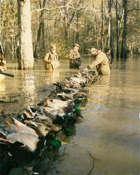 140 duck hunting ideas duck hunting hunting duck