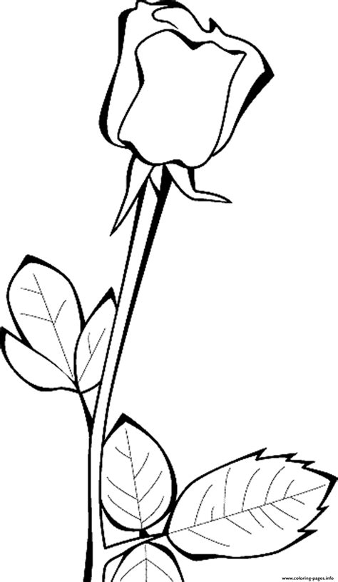 rose flowers real coloring page printable