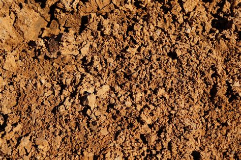 soils chestnut hill outdoors