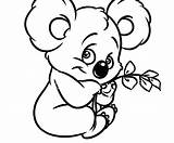 Koala Coloring Pages Baby Color Printable Getcolorings Print sketch template