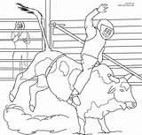 Riding Bucking Stier Rodeo Pbr Rider Ferdinand Coloringhome Bulls Malvorlagen Getcolorings Popular sketch template