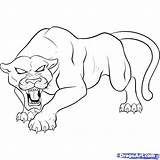 Panther Head Drawing Getdrawings Panthers Coloring sketch template