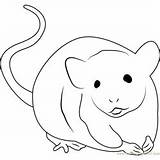 Mice Wild Animals Coloring Pages Coloringpages101 Kids sketch template