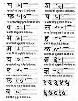 Calligraphy Devanagari Alphabet Marathi Sanskrit Ranjana Caligraphy écriture sketch template