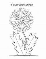 Dandelion Coloring Flower Pages Wish Sheets Silhouette Clip Make Printable Template Girls Boys Color Getdrawings Templates Sheet Printables Print Getcolorings sketch template