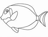 Fish Tang Chirurgo Poisson Coloriage Pesce Clown Imprimer Chirurgien Supercoloring Pesci Stampare Dessiner Keyword Drukuj sketch template