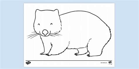 wombat colouring sheet colouring sheets twinkl