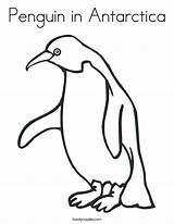 Penguin Antarctica Antartica Pinguin Adelie Emperor Penguins Twisty Twistynoodle sketch template