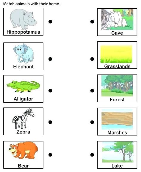 habitat worksheets  kindergarten kindergarten worksheets animal