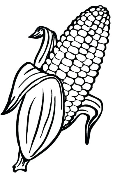corn coloring pages  coloring pages  kids
