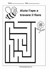 Labirinti Mazes Pianetabambini Facili Abejas Labirinto Insects Primaria Prescolari Stampabili Laberintos Materna Singolarmente Dots Prepositions Ape Esercizi Dyslexia Pagine Puzzles sketch template