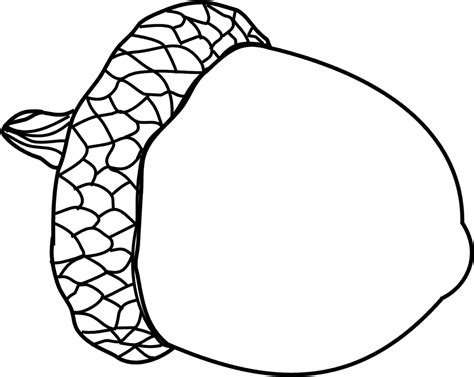 scribbles designs   acorn