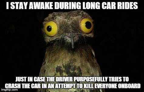 stay awake  long car rides meme