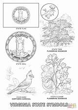 Virginia Coloring State Pages Symbols Printable Color Designlooter Bird Flower Flag 9kb 1440px 1020 Choose Board sketch template
