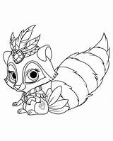 Colorare Szop Raccoon Fiordaliso Chaber Cornflower Coloriage Kolorowanka Animaux Bleuet Aciano Kornblume Compagnie Kolorowanki Principesse Ausmalbilder Malvorlagen Cutie Dla Mascotas sketch template