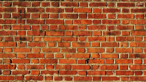 white brick wall wallpaper cheapest retailers save  jlcatjgobmx