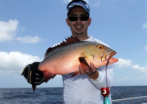 How To Catch Red Bass On Lures