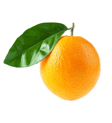productores  distribuidores de naranjas masia ciscar