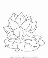 Lotus Coloring Sheet Flowers Turtle Crafts Big sketch template