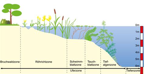 klassewasserde zonierung des gewaessers jugendliche