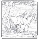 Ausmalbilder Cavalos Colorare Dieren Paard Paarden Malesider Dyr Konie Pferde Animais Coloriages Animaux Kolorowanki Dyre Kon Caballo Cheval Hester Trudne sketch template