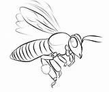 Coloring Bees Bee Library Clipart Book sketch template