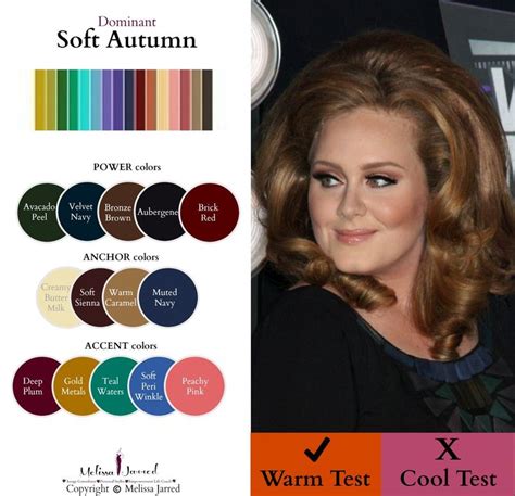 pin by henna pasonen on värianalyysi soft autumn color