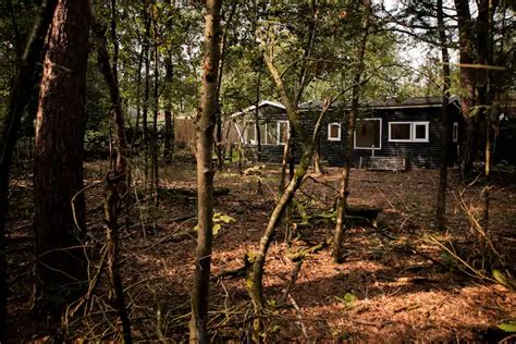 magisch natuurhuisje direct aan het veluwse bos cottages  rent  putten gelderland