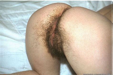 hairy womens ass tubezzz porn photos