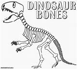 Skeleton Esqueleto Dinosaurio Dibujar Imprimir Dinosaurios Albanysinsanity Mascota Armar Rex sketch template
