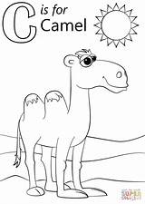 Coloring Letter Camel Pages Printable Drawing Preschool Supercoloring Kids Uae Colouring Sheets Alphabet Toddlers National Activities Getdrawings Line Animal Abc sketch template