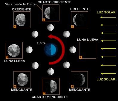 inicio el mes lunar el mas largo de este  latino detroit