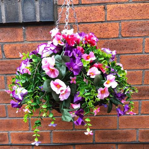 hanging basket flowers  sale check spelling  type   query
