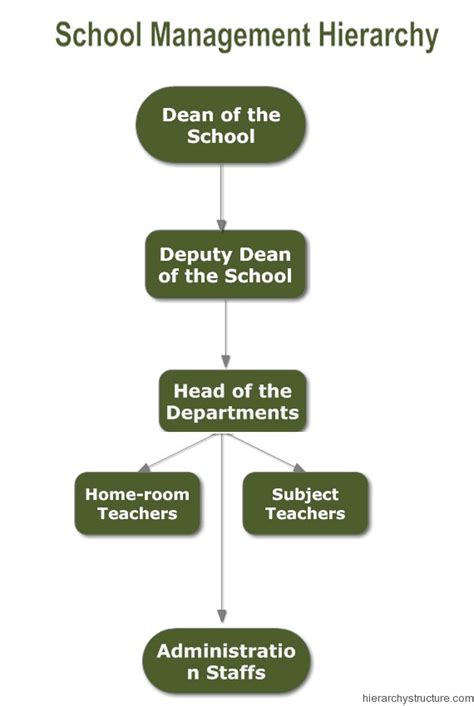 school management hierarchy structure hierarchy structure