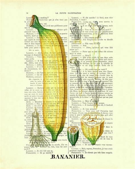 Banana Chart On Antique Book Page Digital Art By Madame Memento