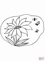 Sunflower Coloring Nectar Pages Gather Bees Printable Drawing Silhouettes sketch template