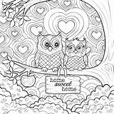Coloring Therapy Adults Stock Illustration Owls Cute Two Depositphotos sketch template